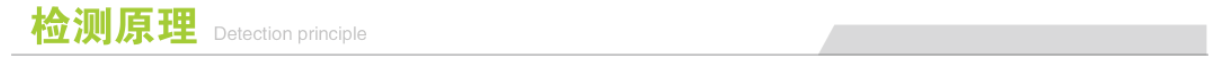 骨密度仪检测原理 骨密度仪检测原理