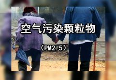 超声骨密度仪调查人员发现空气污染颗粒物(PM2.5)的小幅增加也与老年人骨折