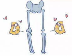 国康超声骨密度仪品牌提示男人骨头也会“脆”!需求防范骨质疏松症!